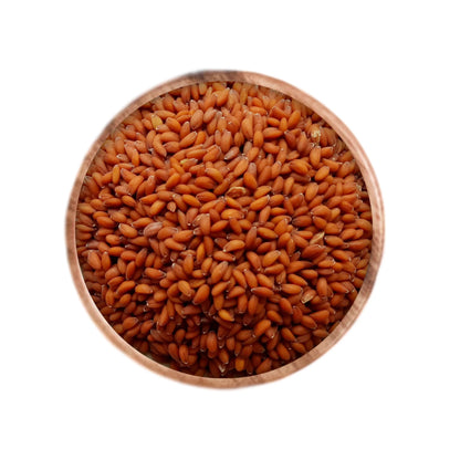 HALIM SEEDS