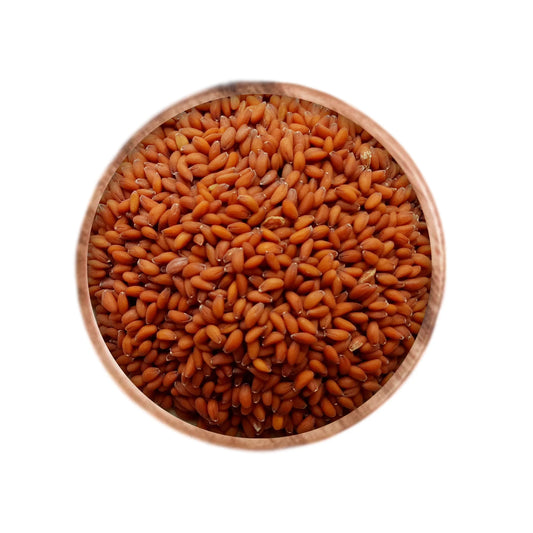 HALIM SEEDS