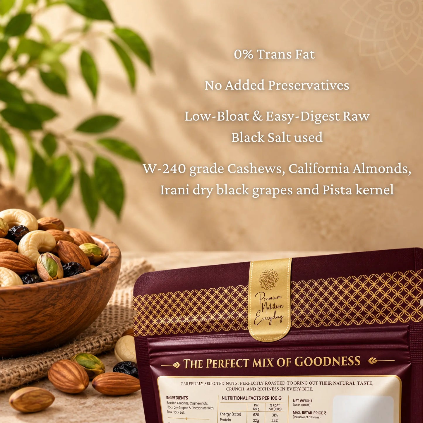 Roasted & Salted Nuts and Dry Fruits 100g
